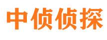 合山市侦探调查公司